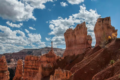 Photo: View with The Sentinel in the background, was taken along the Navajo-Queen's Garden Trails loop, Bryce Canyon National Park, in southern Utah