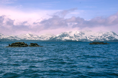 Photo Note Card: 
Iconic Glacier Bay Landscape, including small Sea Lion Haulouts, deep blue water and snow-covered mountains capped with swirling clouds, near Marble Island in the main channel in Glacier Bay National Park, Alaska