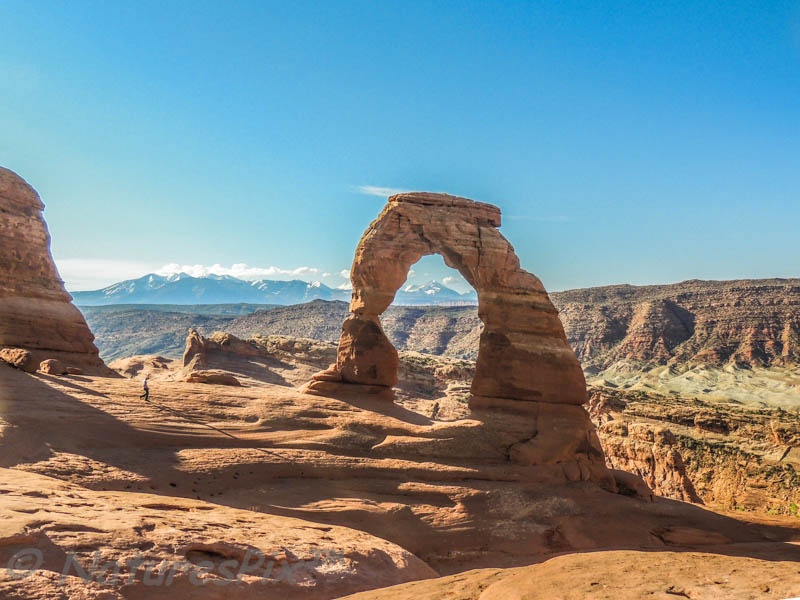 Photo Note Card: Delicate Arch in Early Morning, looking through the Arch to the snow-capped La Sal Mountains in the background, Arches National Park, near Moab, Utah