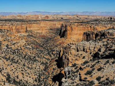 Photo Note Card: 
Canyonlands of the San Rafael Reef, Colorado Plateau, west of Green River, Utah