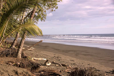 Photo Note Card: 
Tiskita Pacific Ocean Beach, Tiskita Jungle Lodge area on the southwestern coast of Costa Rica, Central America