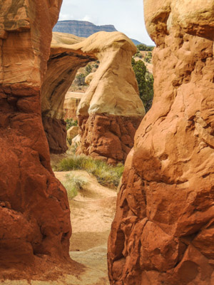 Photo Note Card: 
Hoodoos and a Natural Arch, colored and uniquely shaped Enstrada Sandstone rock sculptures  at the Devil's Garden, Grand Staircase-Escalante National Monument, just off the Hole-in-the-Rock Road near Escalante, Utah
