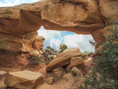 Photo Note Card: 
Natural Bridge, colored and uniquely shaped Enstrada Sandstone rock sculptures  at the Devil's Garden, Grand Staircase-Escalante National Monument, Hole-in-the-Rock Road near Escalante, Utah