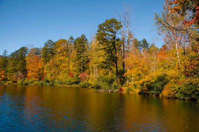 Photo Note Card: 
Fall Color at Powhatan Lake,  was taken at Powhatan Recreation Area near Asheville, North Carolina