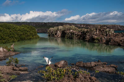 Photo Note Card: 
Darwin Bay, late afternoon hike along the shore,  Genovesa (Tower) Island in the Galapagos archipelago