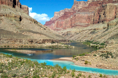 Photo Note Card: Confluence of Colorado and Little Colorado Rivers, Grand Canyon National Park
