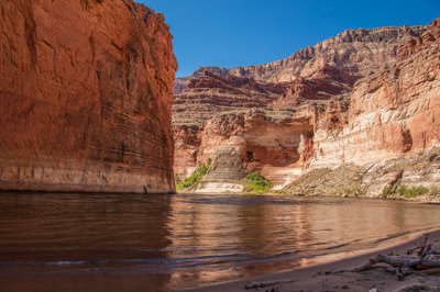 Photo Note Card: 
Marble Canyon, with Redwall cliffs, the Colorado River, Vasey's Paradise and Stanton's Cave in view, was taken from South Canyon Beach, Grand Canyon National Park, Arizona