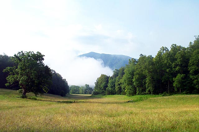 Photo Note Card: 
Cloud Fog Rolling down from the mountains in Cades Cove,  in Great Smoky Mountains National Park, Tennessee