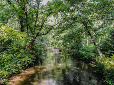 Photo Note Card: 
Cades Creek, Cades Cove, in Great Smoky Mountains National Park, Tennessee