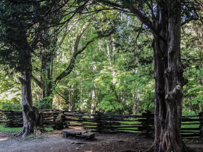 Photo Note Card: 
A Place to Rest, was taken at the John Oliver Place in Cades Cove, Great Smoky Mountains National Park, Tennessee