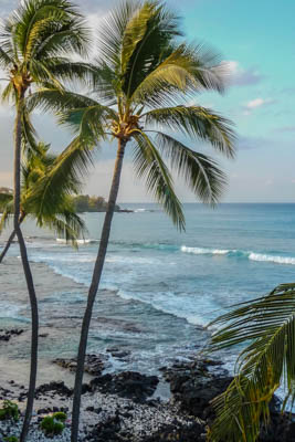 Photo Note Card: 
Ocean through palm trees,  was taken from Beach Kona Bali Kai in the Kona area on the Big Island of  Hawaii