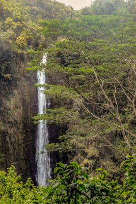 Photo Note Card: 
Akaka Falls (442' high), was taken at Onomea Bay on the Island of Oahu, Hawaii