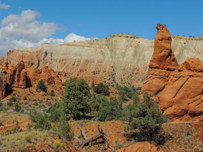 Photo Note Card: 
Along the Panorama Trail, with brightly colored Entrada sandstone Pinnacles, Spires and Hoodoos, was taken in Kodachrome Basin State Park, in southwestern Utah