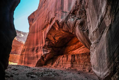 Photo Note Card: 
Sandstone Archway forming at the confluence of the Wire Pass and Bucksking Gulch slot canyons,  in the Bureau of Land Management's Grand Staircase-Escalante National Monument in northern Arizona