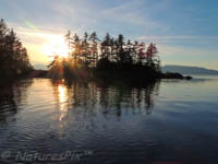 Photo Note Card: Cove in Brothers Islands at dusk, Inner Passage, Southeast Alaska
