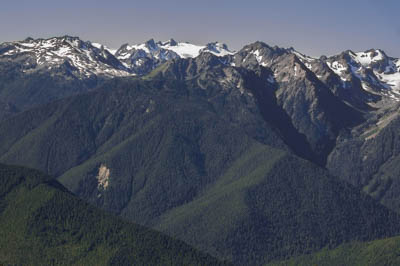 Photo Note Card: 
Mt Olympus (7,979'),   was taken from Hurricane Ridge, Olympic National Park, Olympic Peninsula, Washington
