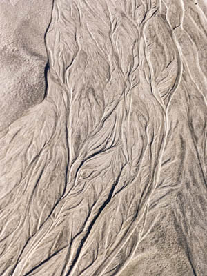 Photo Note Card: 
Patterns in Sand,  was taken at the Baird Glacier outwash, Thomas Bay, Inner Passage of southeast Alaska