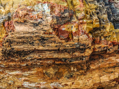 Photo Note Card: 
Close-up of a Petrified Log, sparkling like a collection of jewels,  was taken along a hike in Escalante Petrified Forest State Park in Escalante, Utah