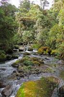 Photo Note Card: Savegre River - Savegre Cataratas (Waterfall) trail, Guanacaste, Costa Rica