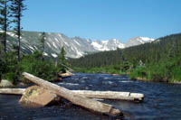 Photo Note Card: South Saint Vrain Creek, Isabelle Lake trail, Brainard Lake Recreation Area, Colorado