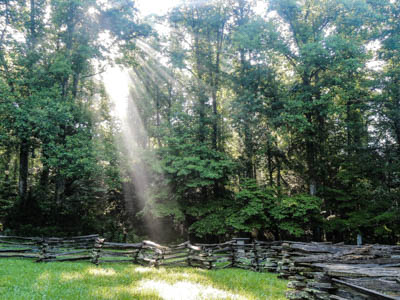 Photo Note Card: 
Early Morning Sunbeam shining down through the forest canopy, John Oliver Place in Cades Cove, Great Smoky Mountains National Park, Tennessee