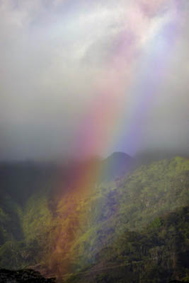 Photo Note Card: 
Rainbow after a rain storm, rainforest on the island of Oahu, Hawaii