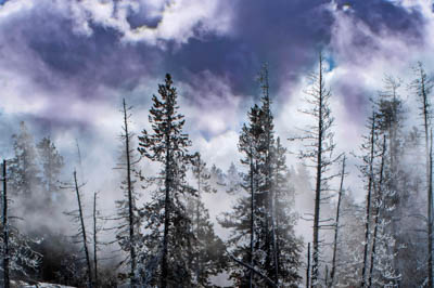 Photo Note Card: 
Clouds and Snow swirling above and through the trees in winter, Fountain Paint Pots area in the lower Geyser Basin of Yellowstone National Park, Wyoming
