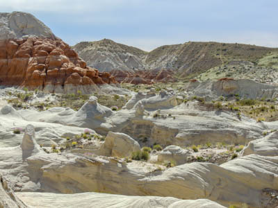 Photo Note Card: 
Panorama of uniquely colored and shaped Enstrada Sandstone rock sculptures, taken along a hike in the Toadstools, in Grand Staircase-Escalante National Monument, in southern Utah near  the Arizona border