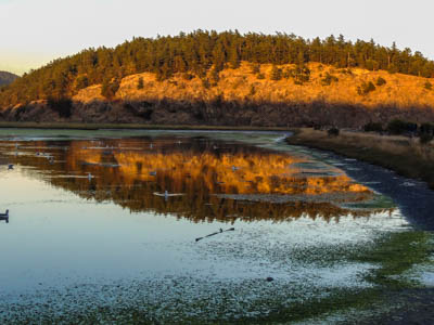 Photo Note Card: 
Frost Island & Spencer Spit wetlands at Dusk, from Spencer Spit, in the San Juan Islands Archipelago, in the Salish Sea of Washington