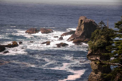 Photo Note Card: 
Olympic Peninsula Coastline, Shore of San Juan de Fuca Strait,  east of Neah Bay, Washington