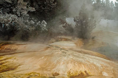 Photo Note Card: 
Mammoth Hot Springs  in Winter, Mammoth Hot Springs Terrace in northern Yellowstone National Park, Wyoming