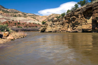 Photo Note Card: 
Chama River, Chama River Canyon Wilderness, west of Ghost Ranch and Abiquiu, New Mexico
