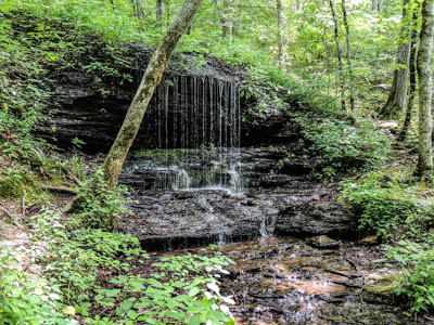Photo Note Card: 
Waterfall dropping down a limestone rock terrace,  was taken on the Natchez Trace National Parkway in Tennessee