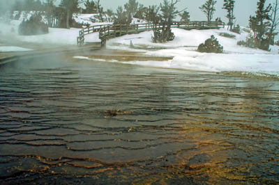 Photo Note Card: 
Steam rising from Canary Spring in Winter,  was taken aling a hike at Mammoth Hot Springs terrace in Yellowstone National Park, Wyomingo