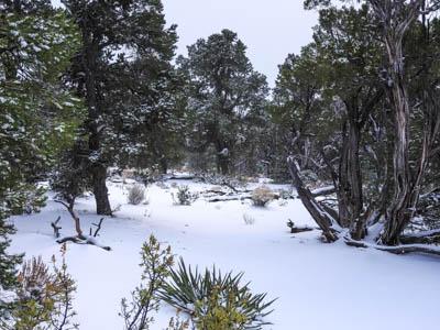 Photo Note Card: 
Grand Canyon just after a Winter snowstorm,  was taken during a hike on the Trail of Time on the south rim of Grand Canyon National Park, Arizona