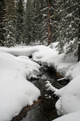 Photo Note Card: 
Snowy Winter Wonderland on a snowshoe hike along a Woodland Stream, Upper Geyser Basin, Yellowstone National Park, Wyoming