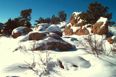 Photo Note Card: 
Snow and winter splendor on Mount Galbaith (7,260), taken  at Mount Galbraith Park in Jefferson County, near Golden, Colorado