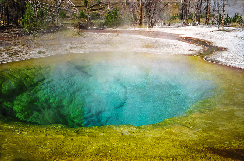 Photo Note Card: 
Morning Glory Pool, Yellowstone National Park