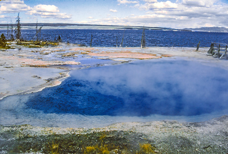 Photo Note Card: 
West Thumb Geyser Basin, Yellowstone National Park