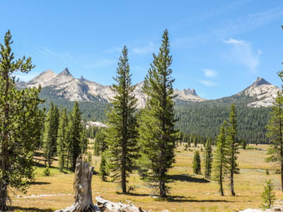 Photo Note Card: 
Unicorn and Cathedral Peaks, taken along  a Glen Aulin hike in the Tuolomne Meadows, Yosemite National Park